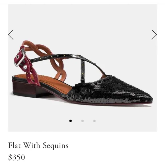 🎁 Coach Holiday Flats With Sequins SlingBack 9.5 👠 🎁🥿🥿