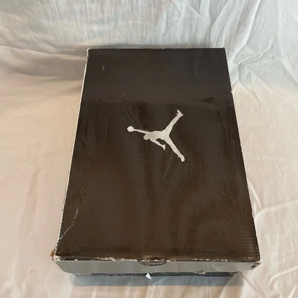 2009 Air Jordan 12 Cherry Retro Sneakers