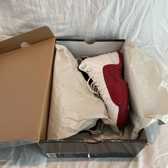2009 Air Jordan 12 Cherry Retro Sneakers