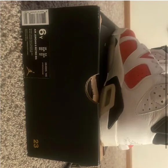 Air Jordan 6 retro bg