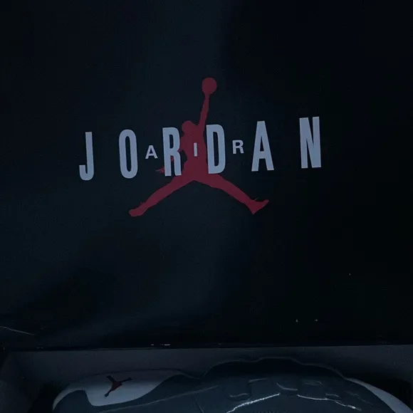 Air Jordan 9 Retro in Cool Gray and White