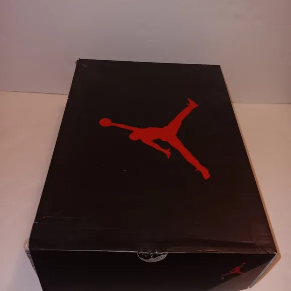 Air Jordan Retro 6 All -Star Chameleon Mens Size 10.5