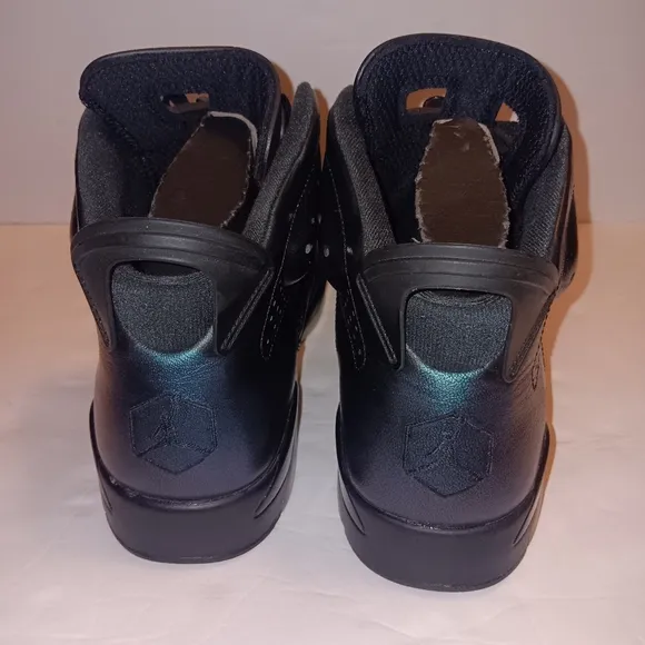 Air Jordan Retro 6 All -Star Chameleon Mens Size 10.5
