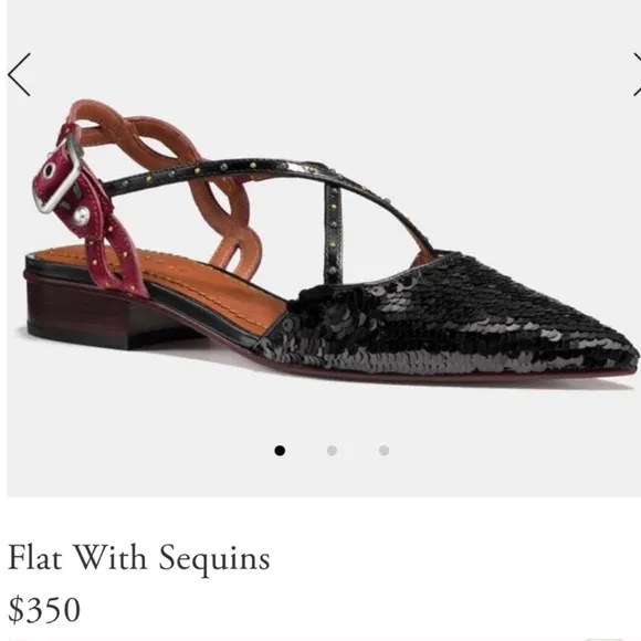 🔥Coach Flats With Red Sequins Rivets Suds SlingBack Sz 9 NIB! Retails $350 🥿🥿