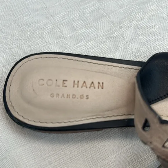 Cole Haan Merrit Leather Slingback Pointed Toe Flats in Black