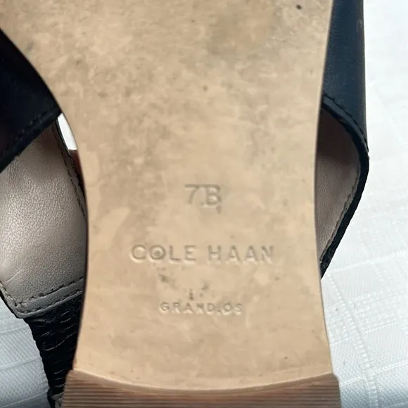 Cole Haan Merrit Leather Slingback Pointed Toe Flats in Black