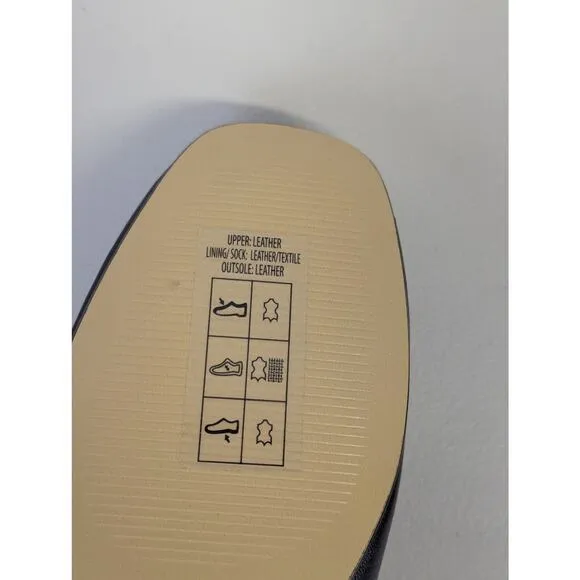 Everlane Day Mary Jane Ballet Flats Womens 9 Black Leather Preppy Minimal NWOT