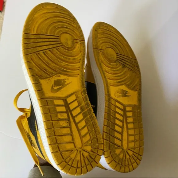 Jordan 1 Pollen Retro High OG