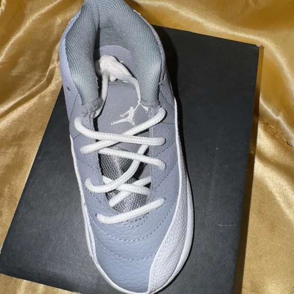 Jordan 12 Retro TD Sneakers in Gray