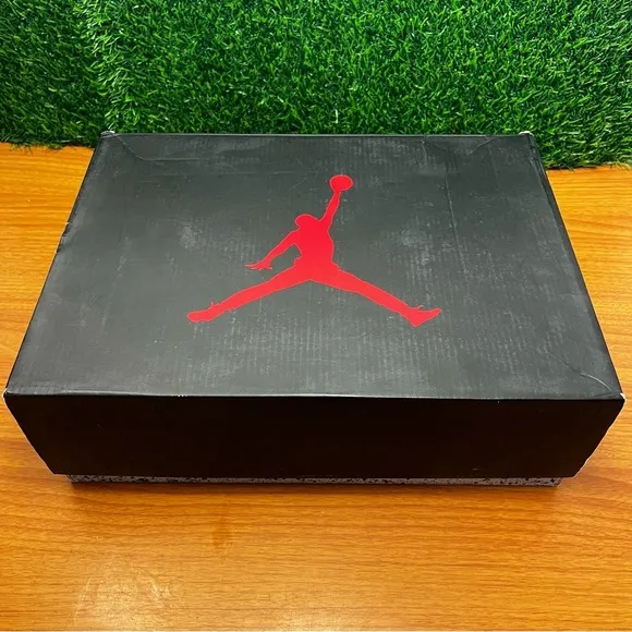 Jordan 6 Retro All Star Chameleon