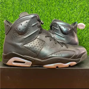Jordan 6 Retro All Star Chameleon