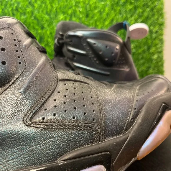 Jordan 6 Retro All Star Chameleon