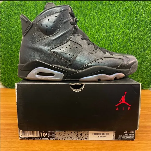 Jordan 6 Retro All Star Chameleon