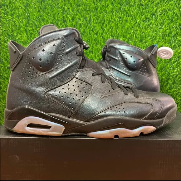 Jordan 6 Retro All Star Chameleon