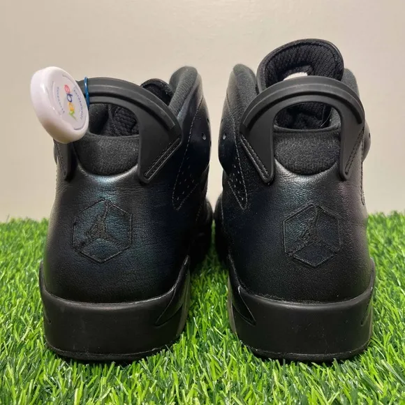 Jordan 6 Retro All Star Chameleon