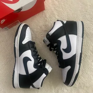 Men’s Nike Dunk Hi Retro Sneakers, Size 11