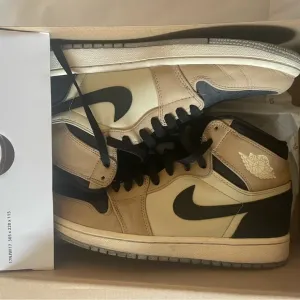 Nike Air Jordan 1 Retro High ‘Mushroom’