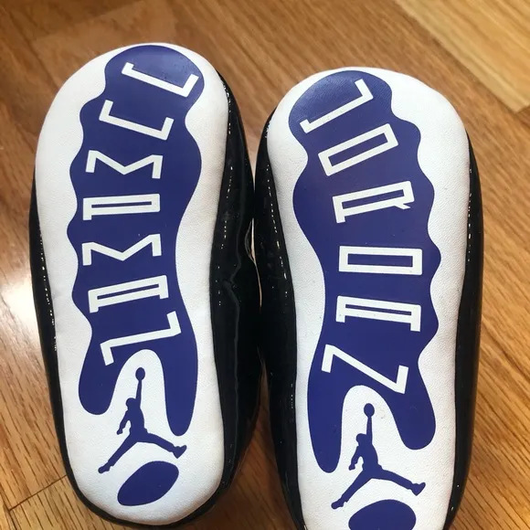 Nike Air Jordan 11 Retro CB Concord 2018