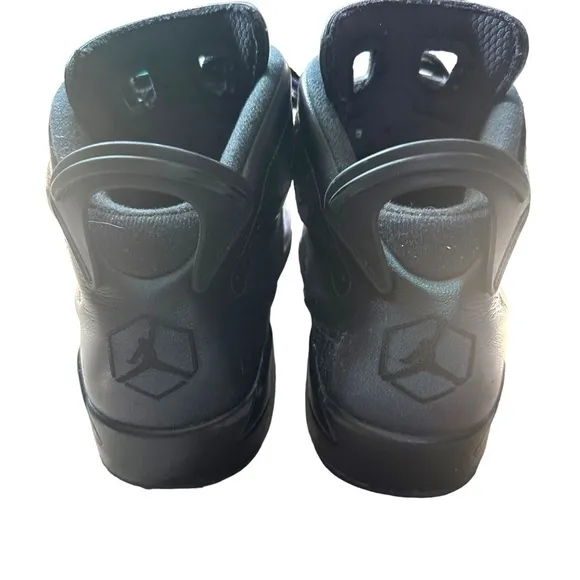 Nike Air Jordan 6 Retro 'All Star - Chameleon' 907961-015