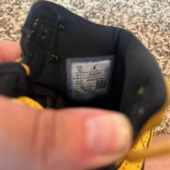 Nike Air Jordan Retro 1 High OG TD Pollen Black sneakers