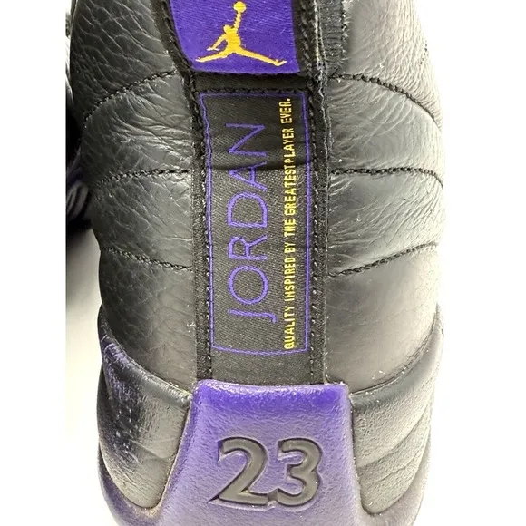 Nike Air Jordan XII 12 Retro Black Field Purple CT8013-057 Men's VNDS Sz 9