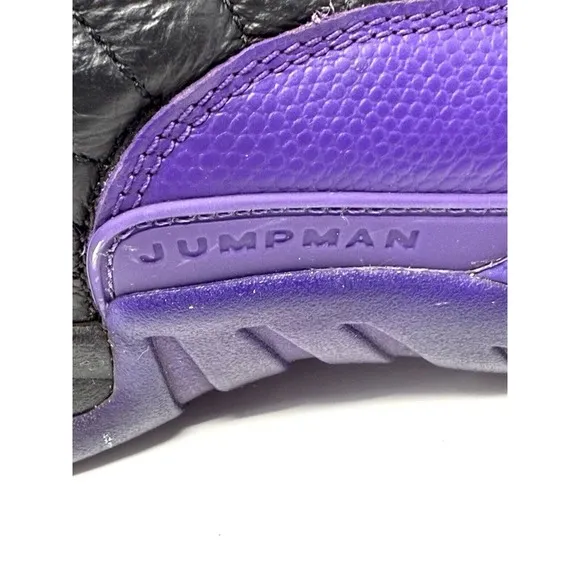 Nike Air Jordan XII 12 Retro Black Field Purple CT8013-057 Men's VNDS Sz 9