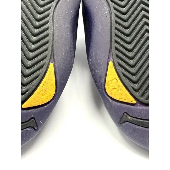 Nike Air Jordan XII 12 Retro Black Field Purple CT8013-057 Men's VNDS Sz 9