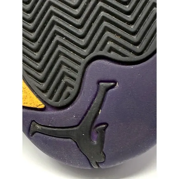 Nike Air Jordan XII 12 Retro Black Field Purple CT8013-057 Men's VNDS Sz 9