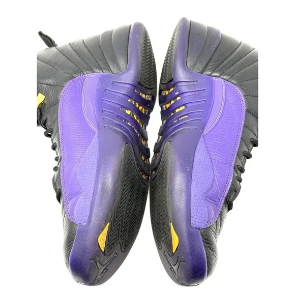Nike Air Jordan XII 12 Retro Black Field Purple CT8013-057 Men's VNDS Sz 9
