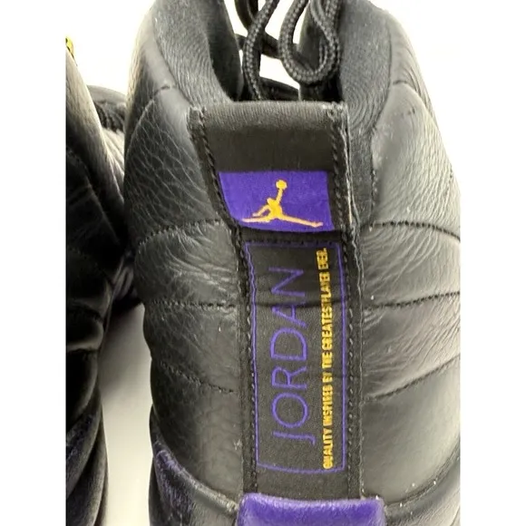 Nike Air Jordan XII 12 Retro Black Field Purple CT8013-057 Men's VNDS Sz 9