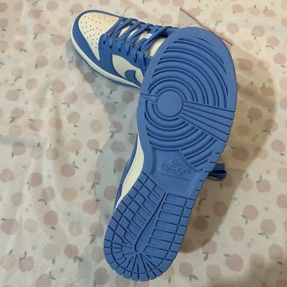 Nike Dunk Low Retro University Blue Sneakers