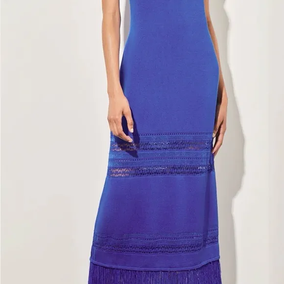 NWT $195 MING WANG Modern Fit‎ Maxi Sheath Dress Fringe Hem, Sapphire Blue