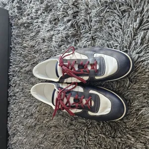 Stylish Navy and White Sneakers with Red Laces