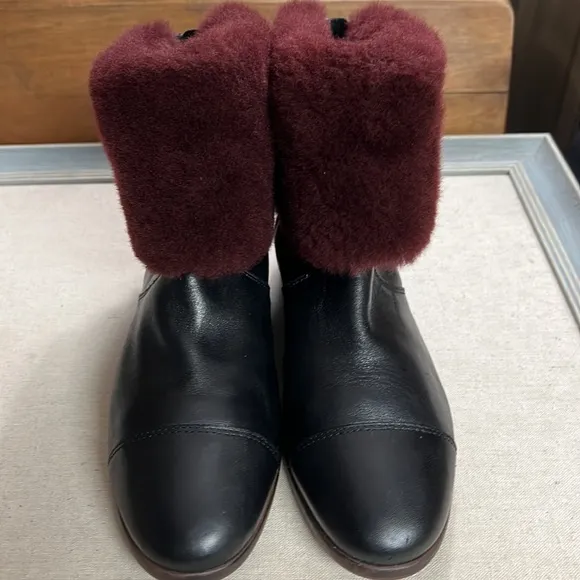UGG Australia Leather and Shearling Inez Ankle Boots