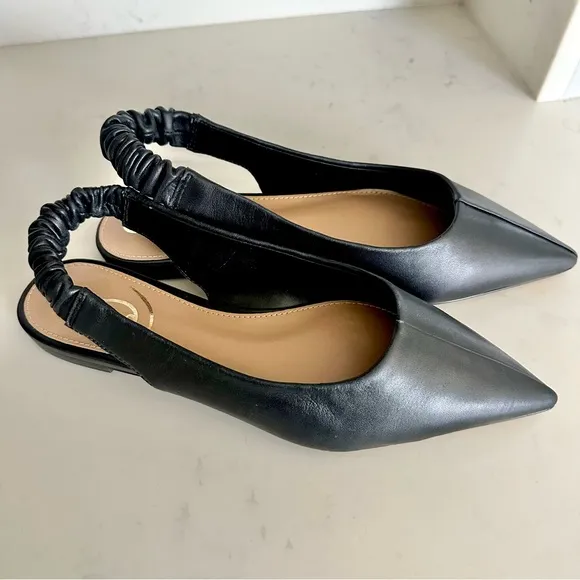 Whitney Pointed toe slingback flat